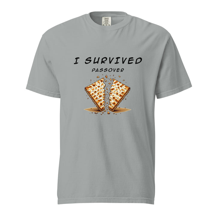 Passover Jewish pride t-shirt in Granite - close-up