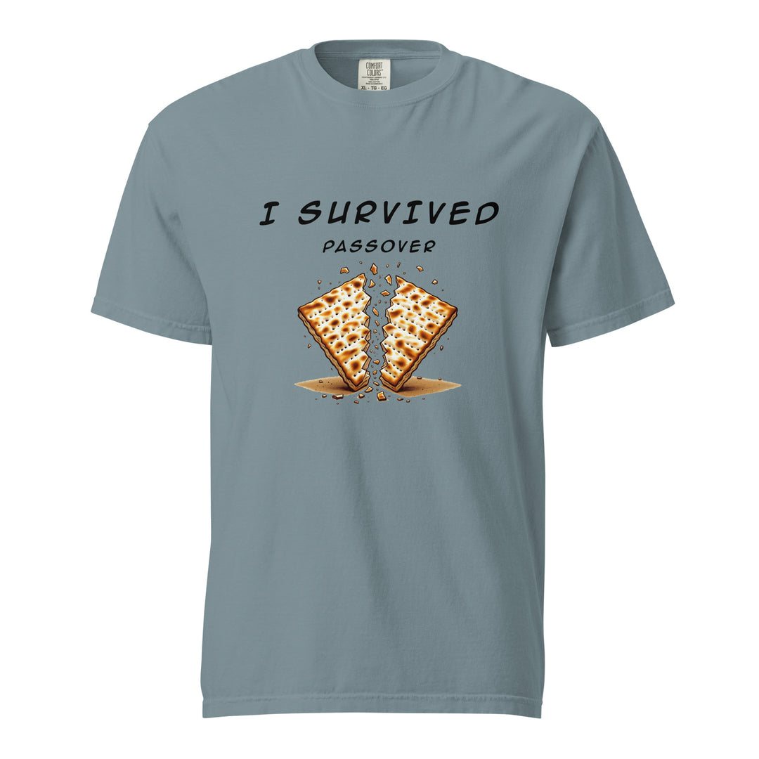 Passover Jewish pride t-shirt in Ice Blue - front view