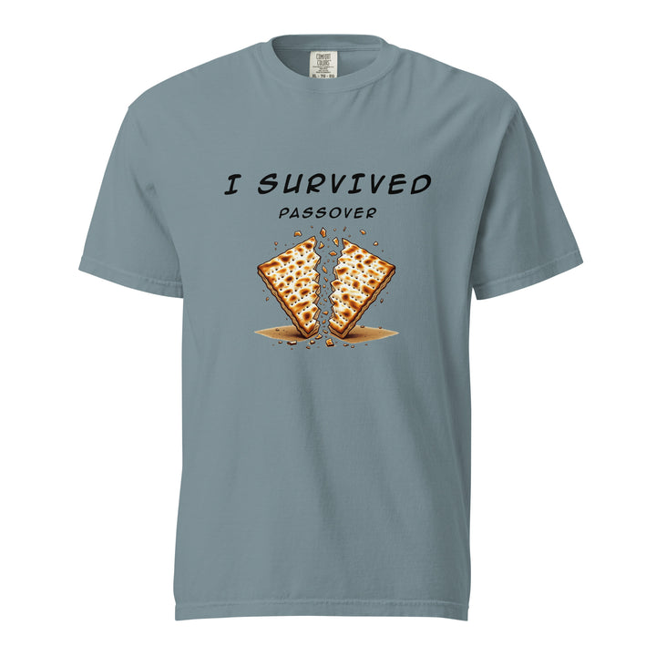 Passover Jewish pride t-shirt in Ice Blue - front view