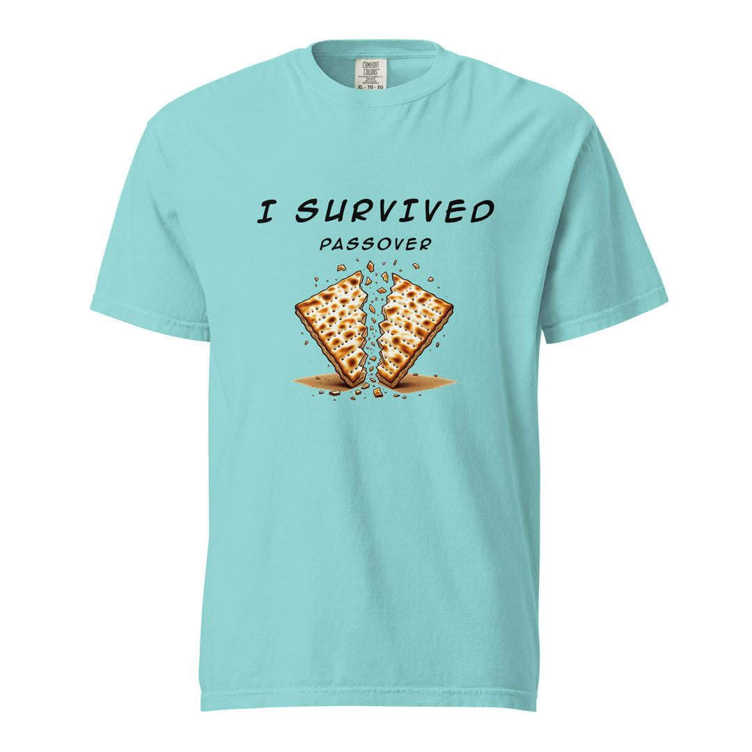 Passover Jewish pride t-shirt in Lagoon Blue - side view