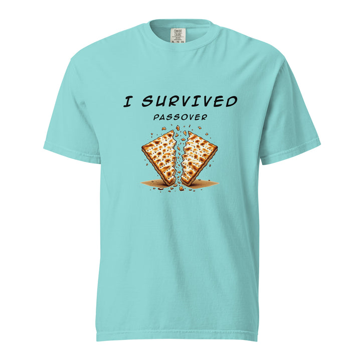 Passover Jewish pride t-shirt in Lagoon Blue - side view