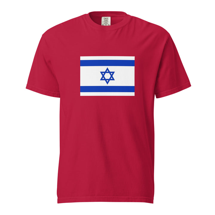 Garment Dyed Heavyweight T-Shirt | Israel Flag