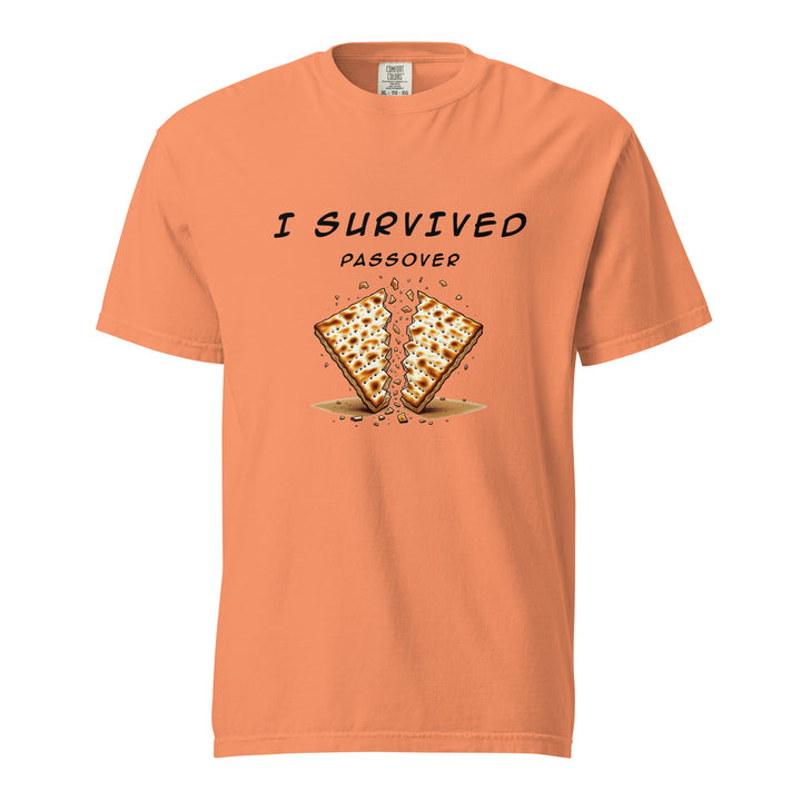 Passover Jewish pride t-shirt in Terracotta - flat lay