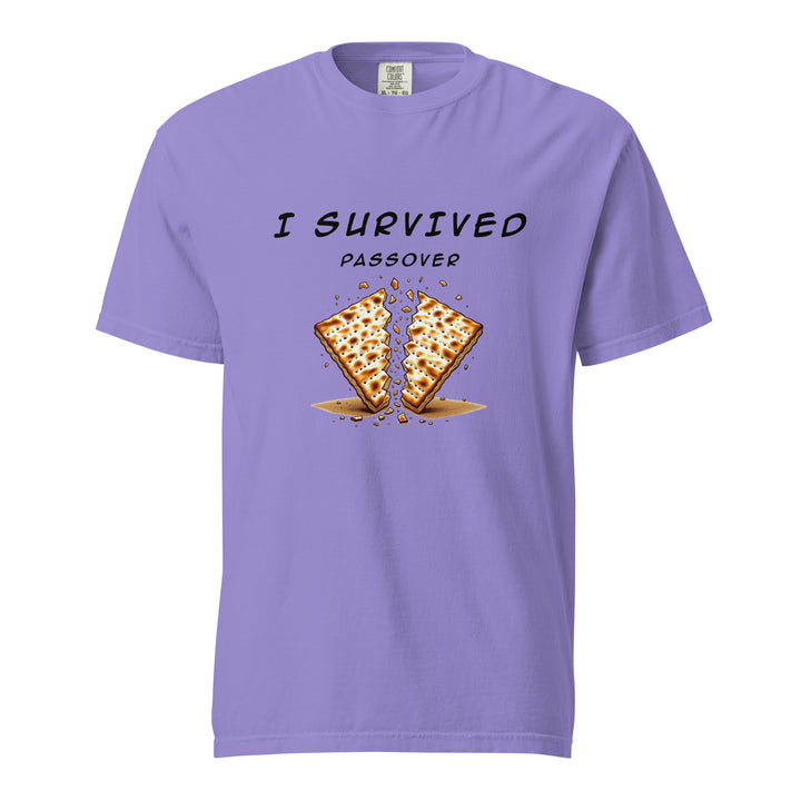 Passover Jewish pride t-shirt in Violet - side view