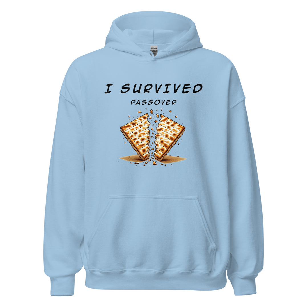 Passover Jewish pride hoodie in Light Blue - folded view
