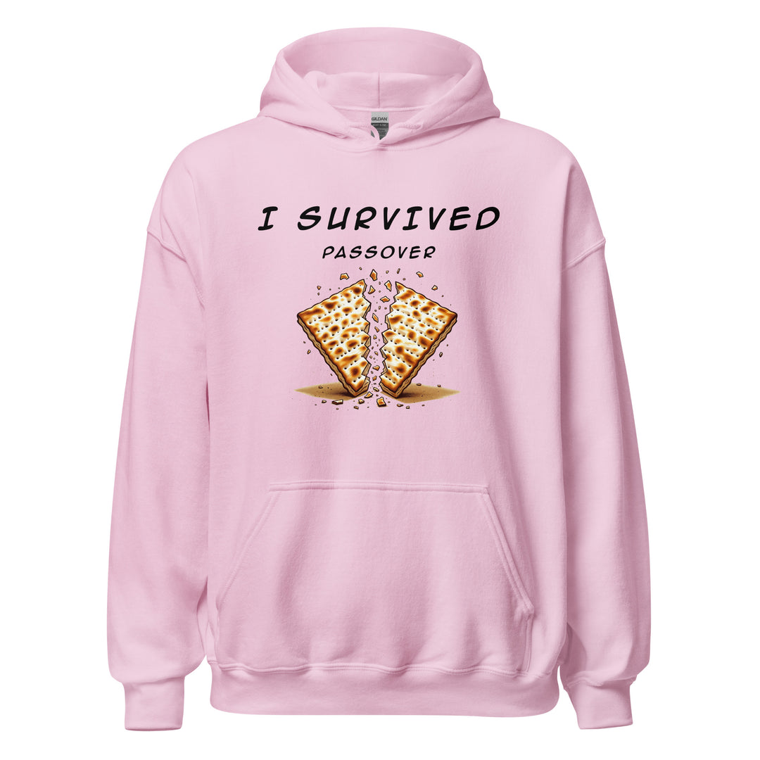 Passover Jewish pride hoodie in Light Pink - front view