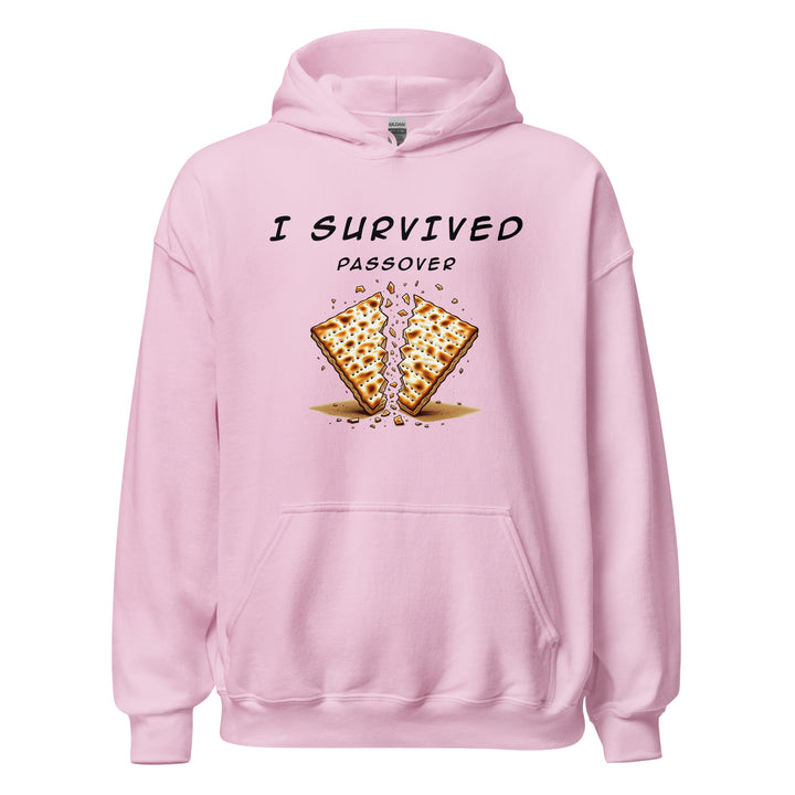 Passover Jewish pride hoodie in Light Pink - front view