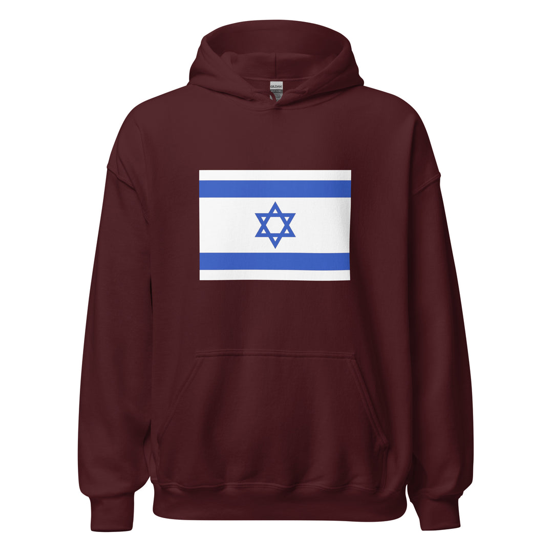 Heavy Blend Hoodie | Israel Flag