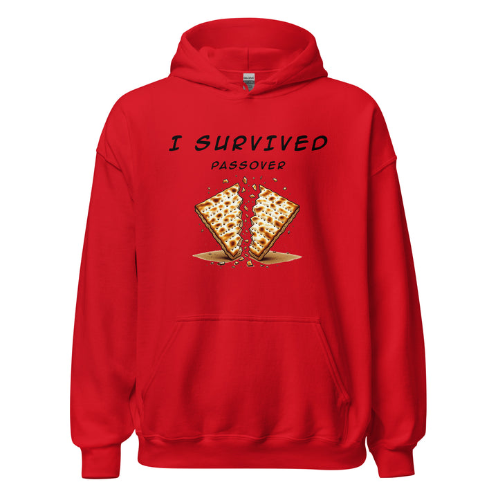 Passover Jewish pride hoodie in Red - close-up