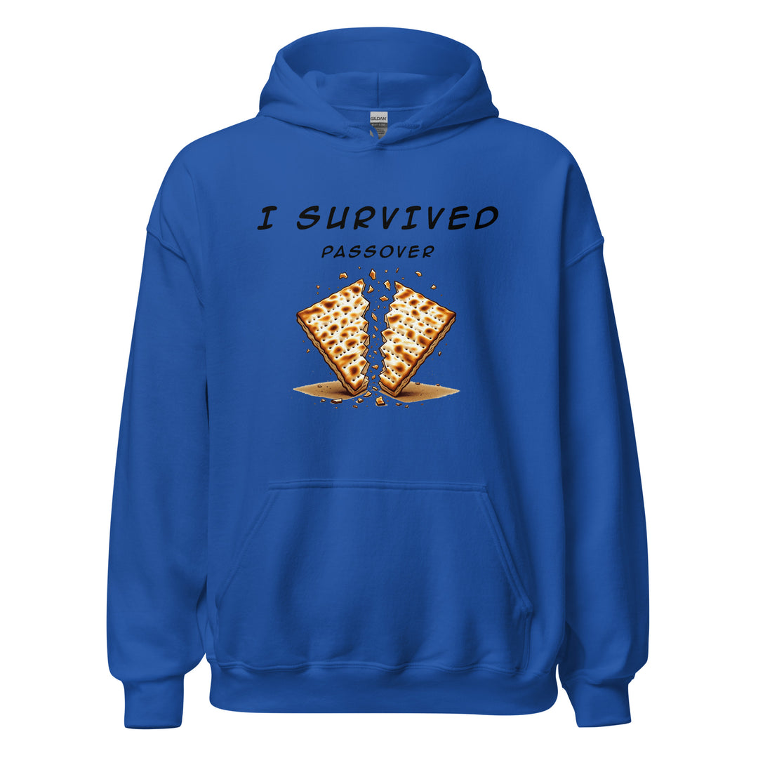 Passover Jewish pride hoodie in Royal - close-up