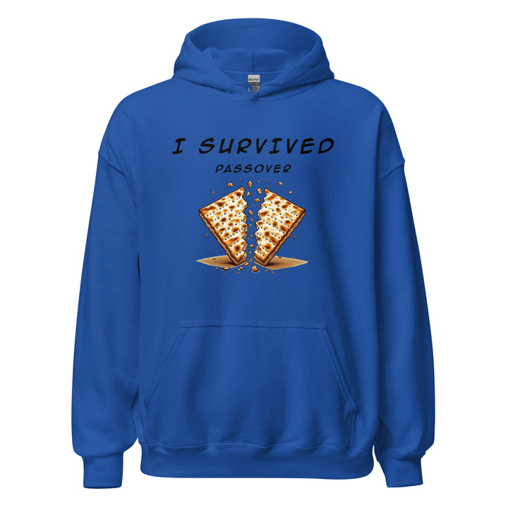 Passover Jewish pride hoodie in Royal - close-up