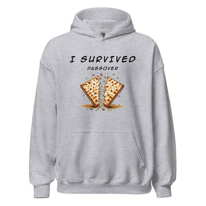 Passover Jewish pride hoodie in Sport Grey - side view