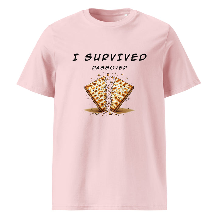 Passover Jewish pride t-shirt in Cotton Pink - detail view