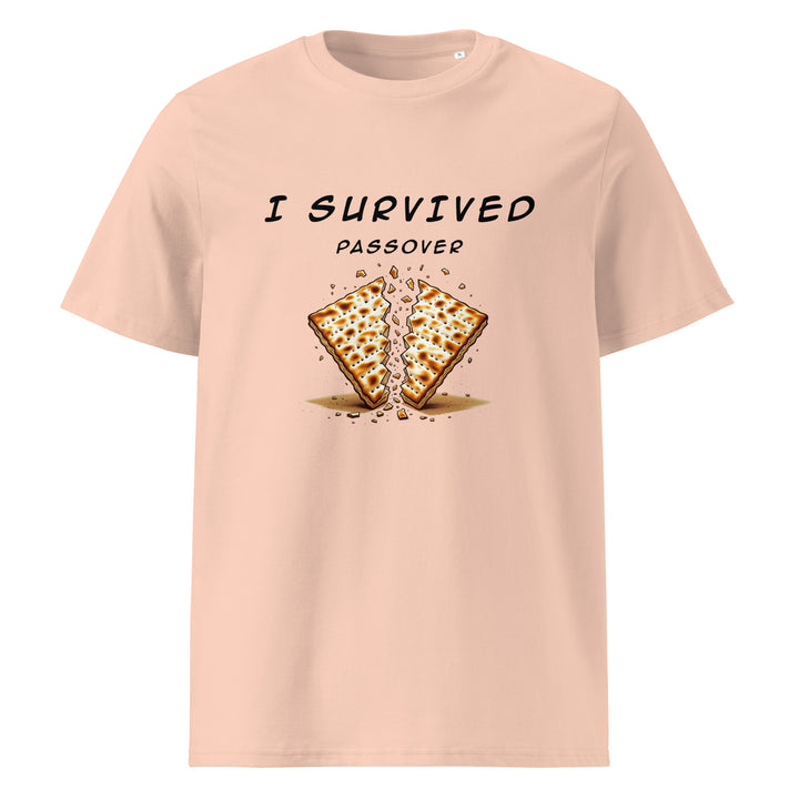 Passover Jewish pride t-shirt in Fraiche Peche - front view
