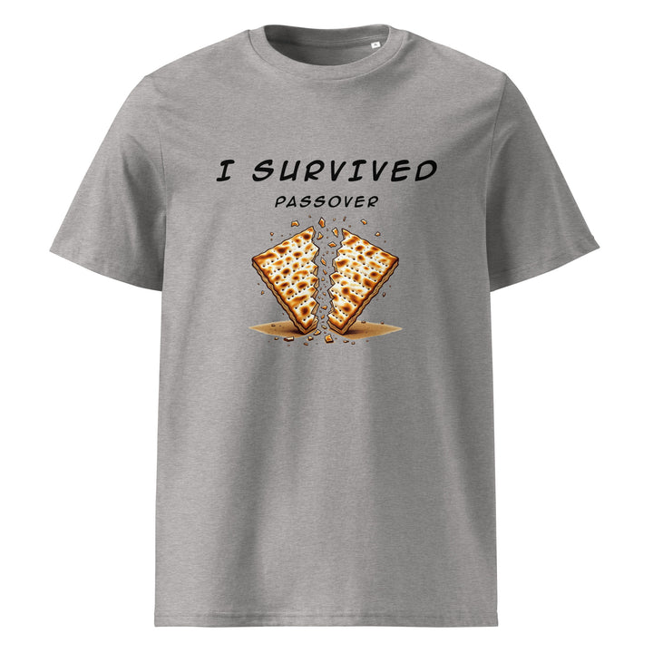 Passover Jewish pride t-shirt in Heather Grey - flat lay
