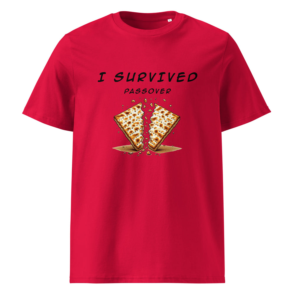 Passover Jewish pride t-shirt in Red - close-up