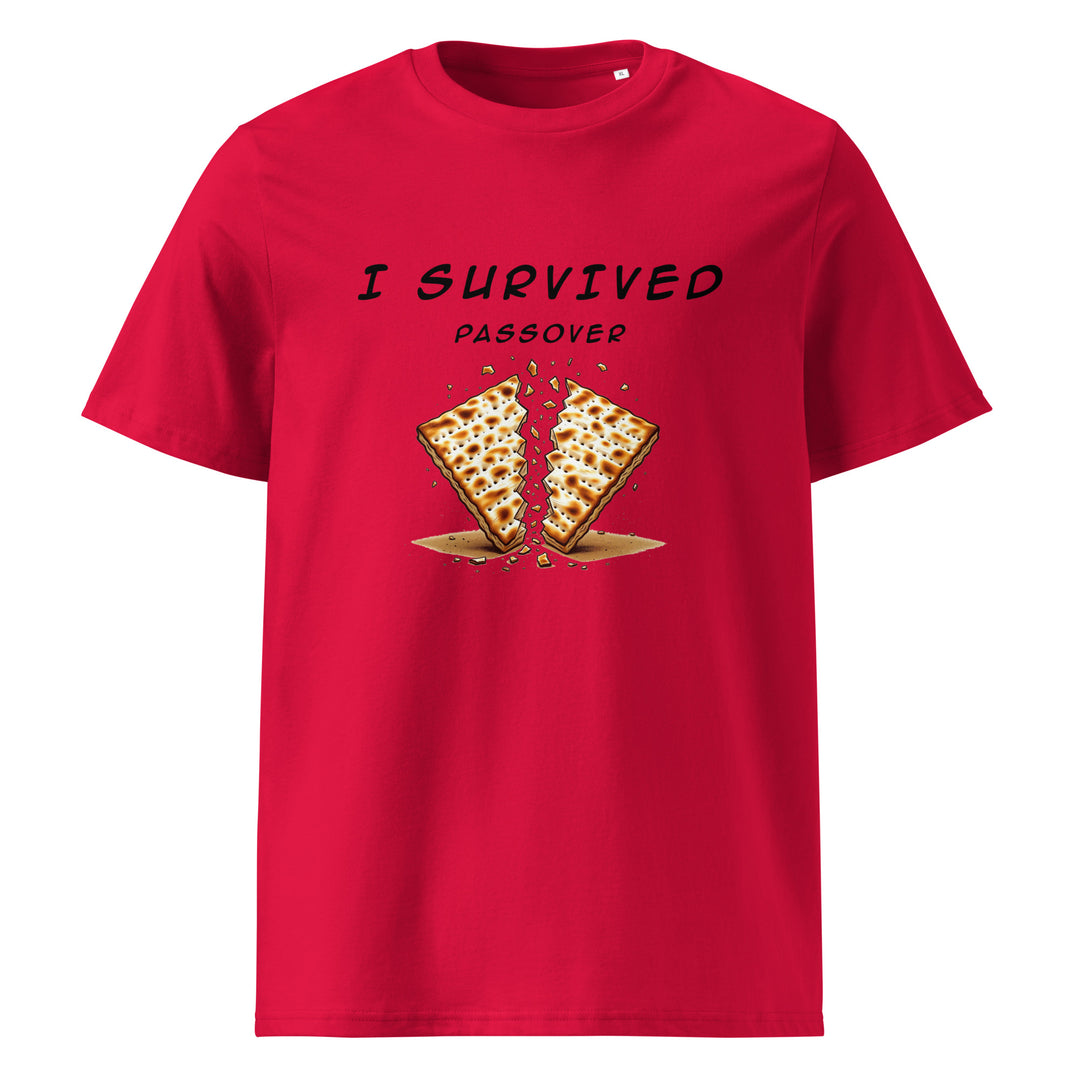 Passover Jewish pride t-shirt in Red - close-up