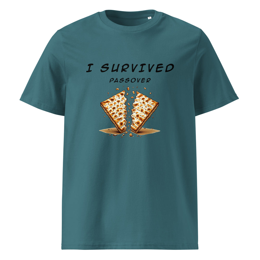 Passover Jewish pride t-shirt in Stargazer - side view