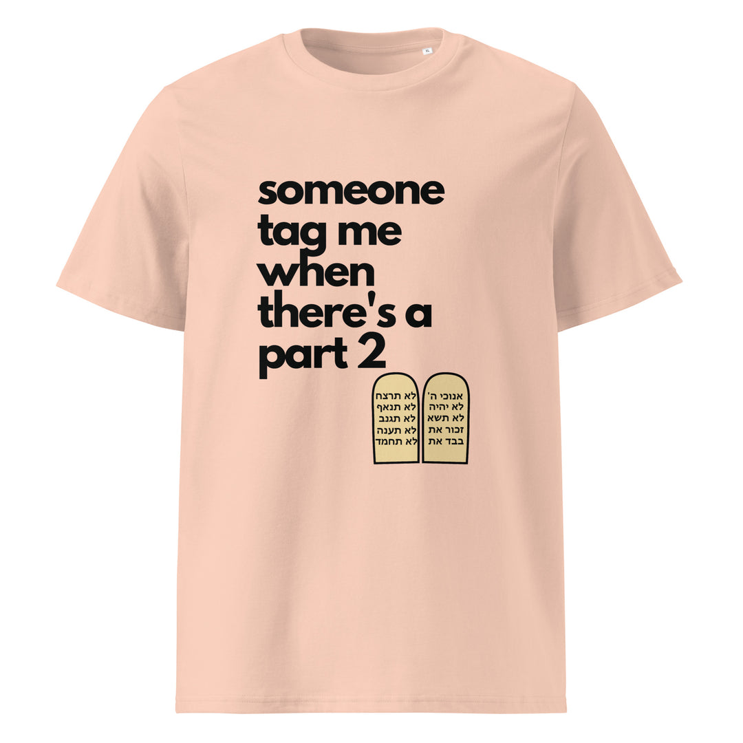 Someone Tag Me Jewish pride t-shirt in Fraiche Peche - folded view