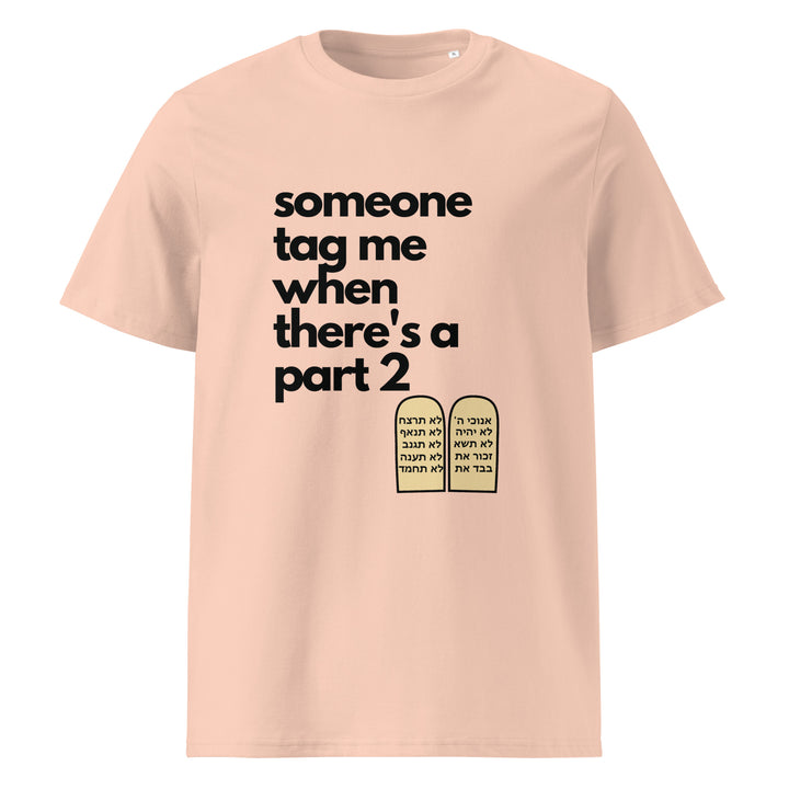 Someone Tag Me Jewish pride t-shirt in Fraiche Peche - folded view