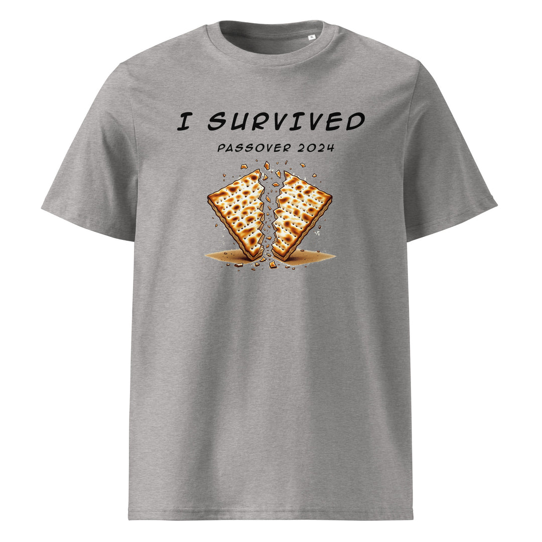Organic Cotton T-Shirt | Passover