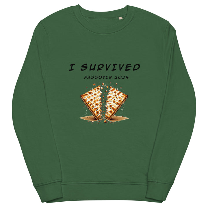 Organic Sweatshirt | Passover