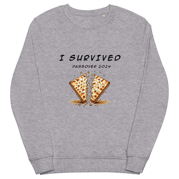 Organic Sweatshirt | Passover