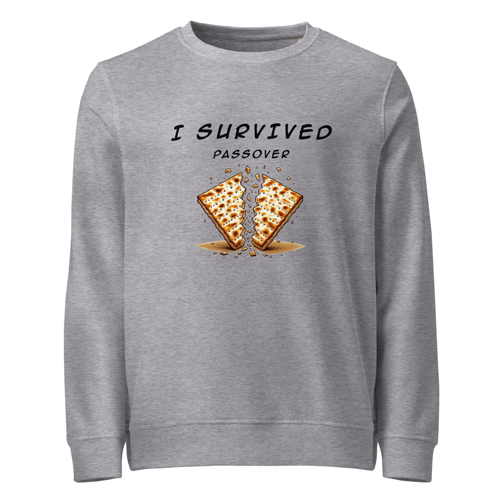 Passover Jewish pride organic sweatshirt in Grey Melange - back view