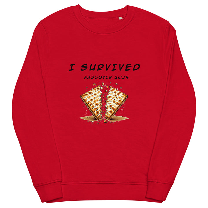 Organic Sweatshirt | Passover