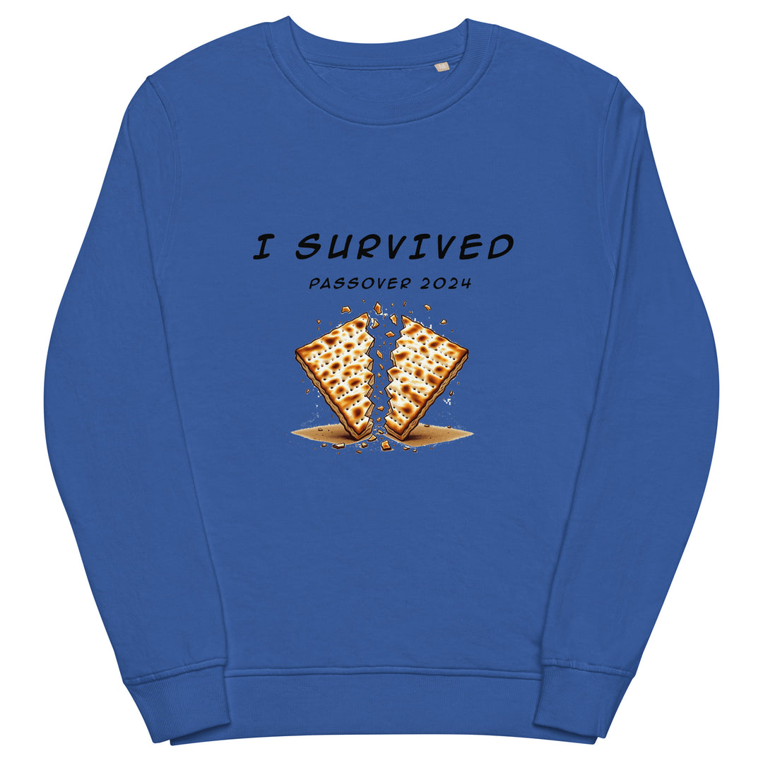 Organic Sweatshirt | Passover