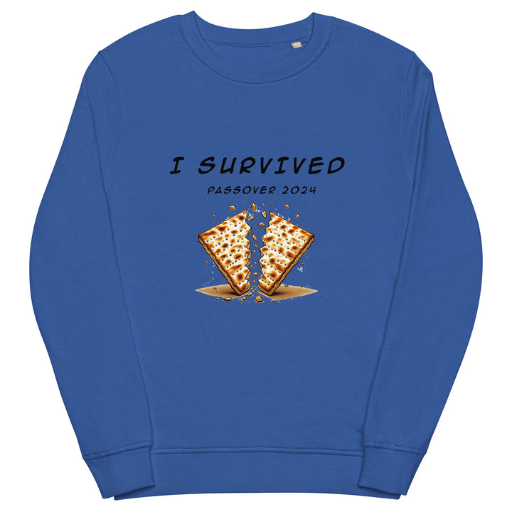 Organic Sweatshirt | Passover