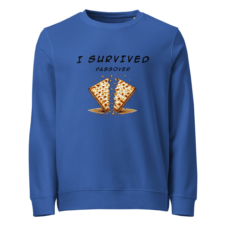 Passover Jewish pride organic sweatshirt in Royal Blue - close-up