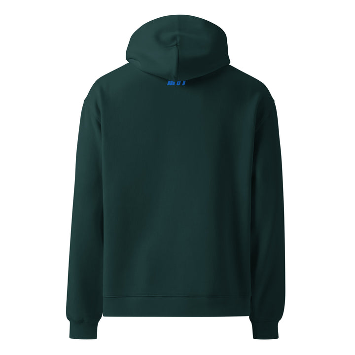 Jewish American Heritage Jewish pride hoodie - close-up