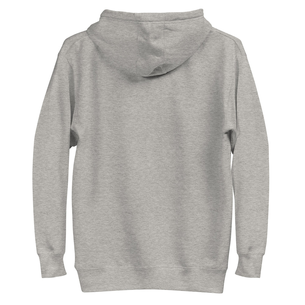 Passover Jewish pride hoodie - close-up