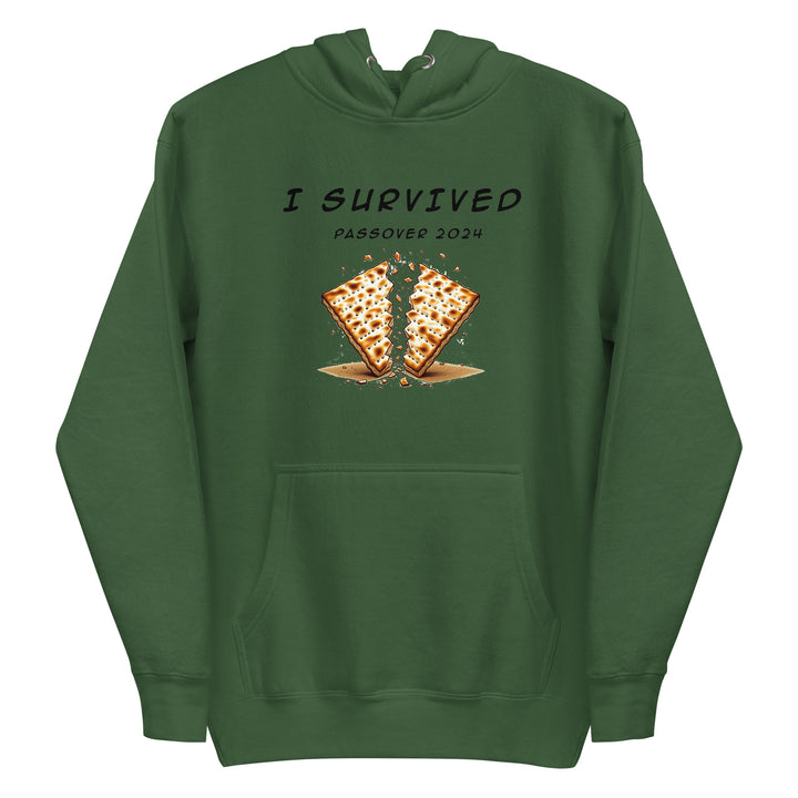 Premium Hoodie | Passover