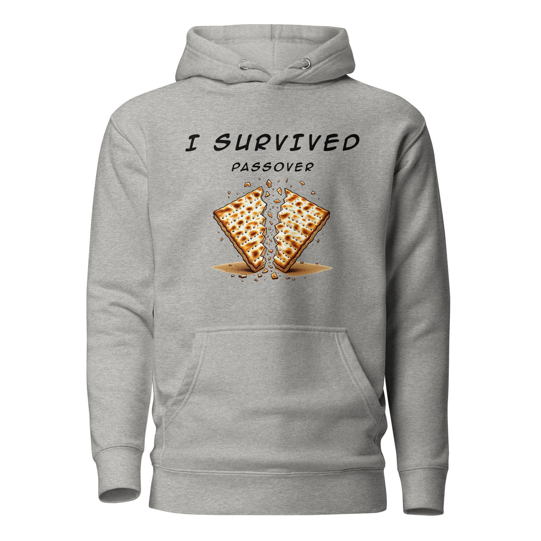 Passover Jewish pride hoodie in Carbon Grey - folded view