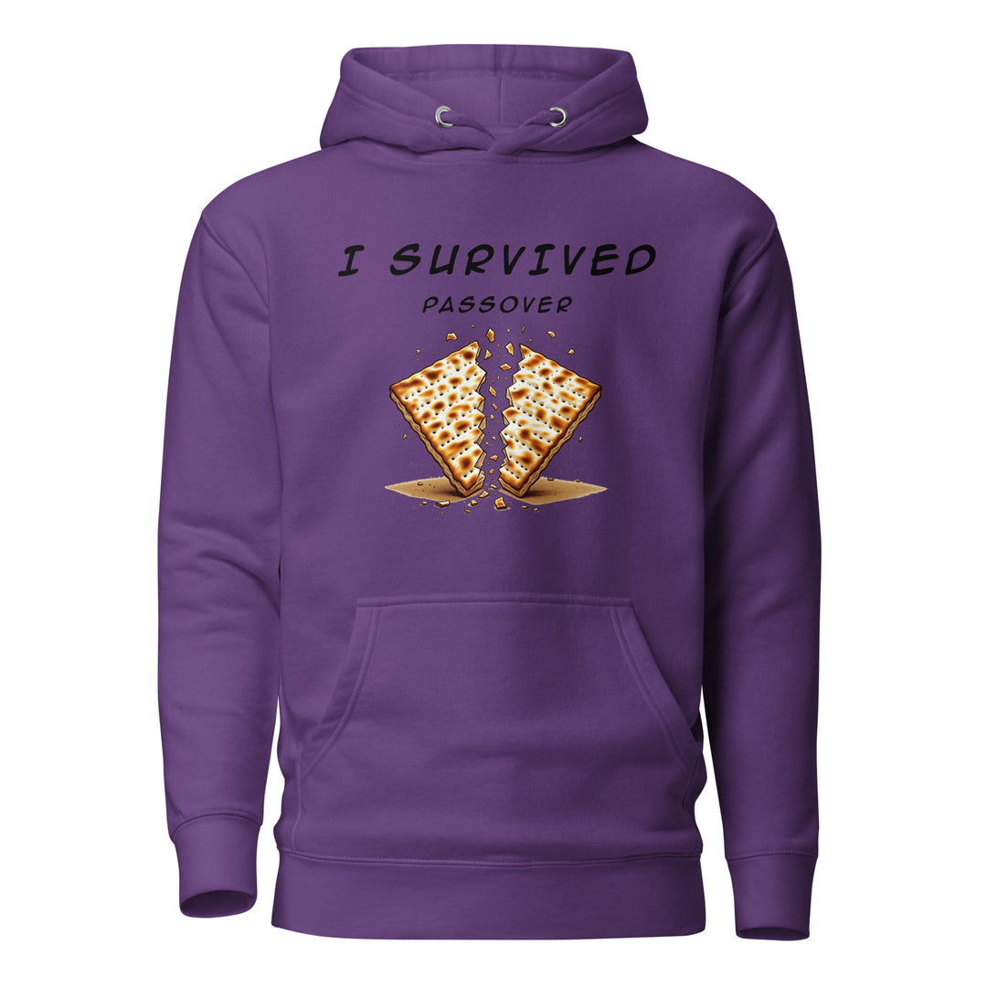 Passover Jewish pride hoodie in Purple - close-up