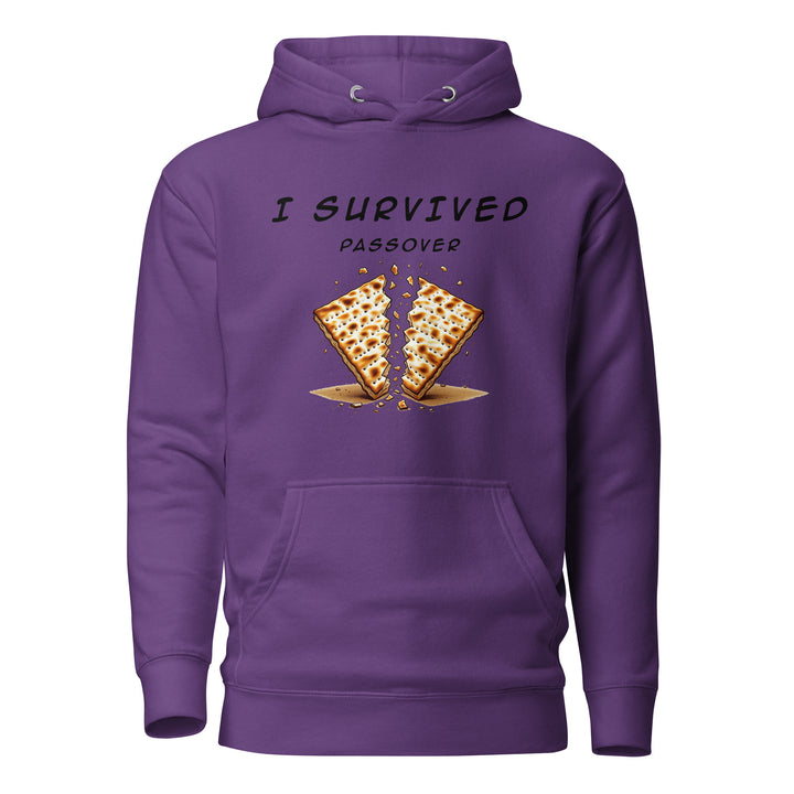 Passover Jewish pride hoodie in Purple - close-up