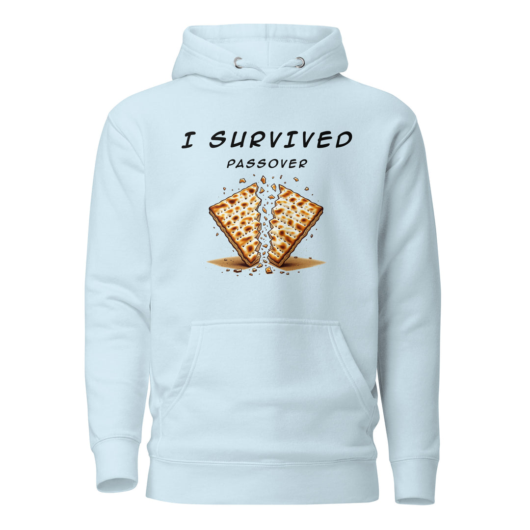 Passover Jewish pride hoodie in Sky Blue - flat lay