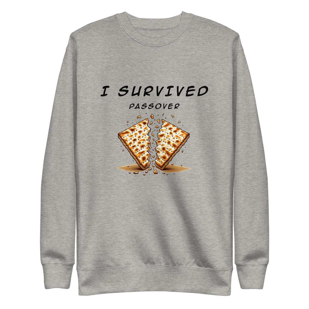 Passover Jewish pride sweatshirt in Carbon Grey - front view