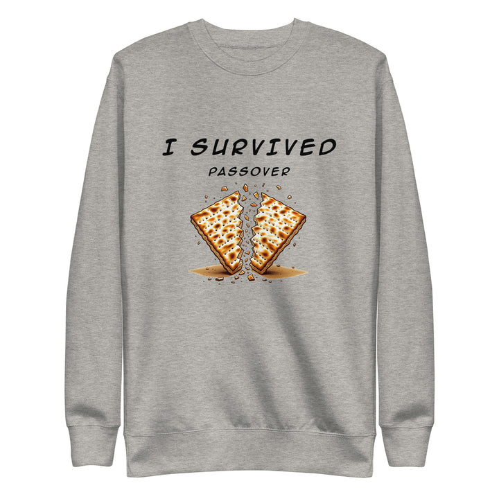 Passover Jewish pride sweatshirt in Carbon Grey - front view