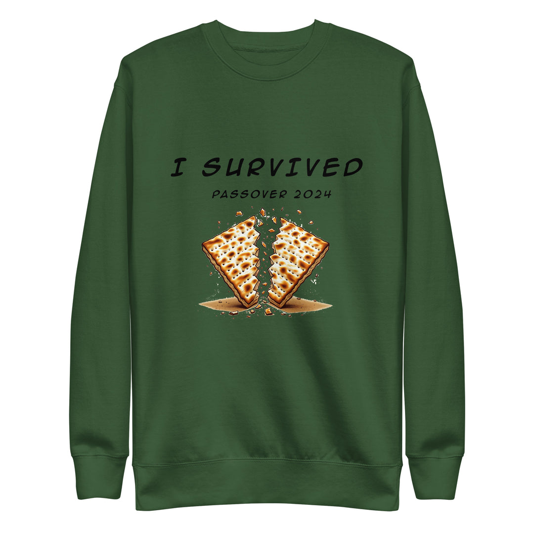 Premium Sweatshirt | Passover