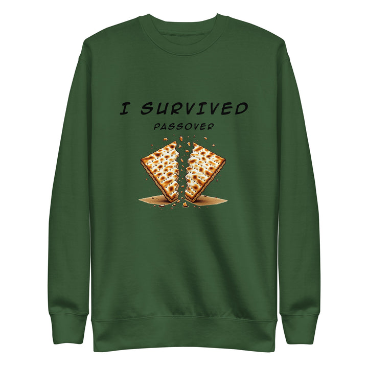 Passover Jewish pride sweatshirt in Forest Green - close-up