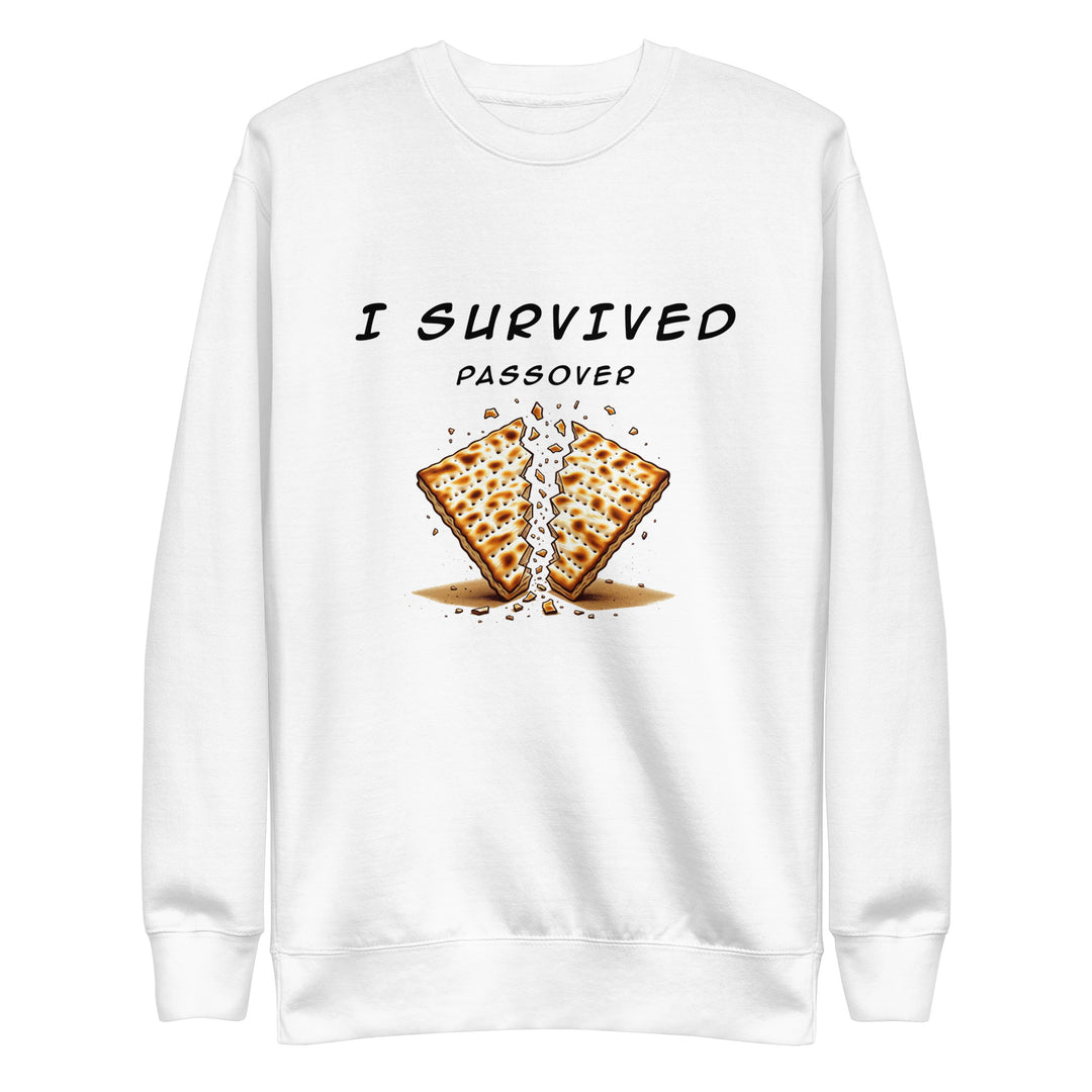 Passover Jewish pride sweatshirt in White - back view