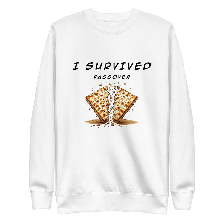 Passover Jewish pride sweatshirt in White - back view
