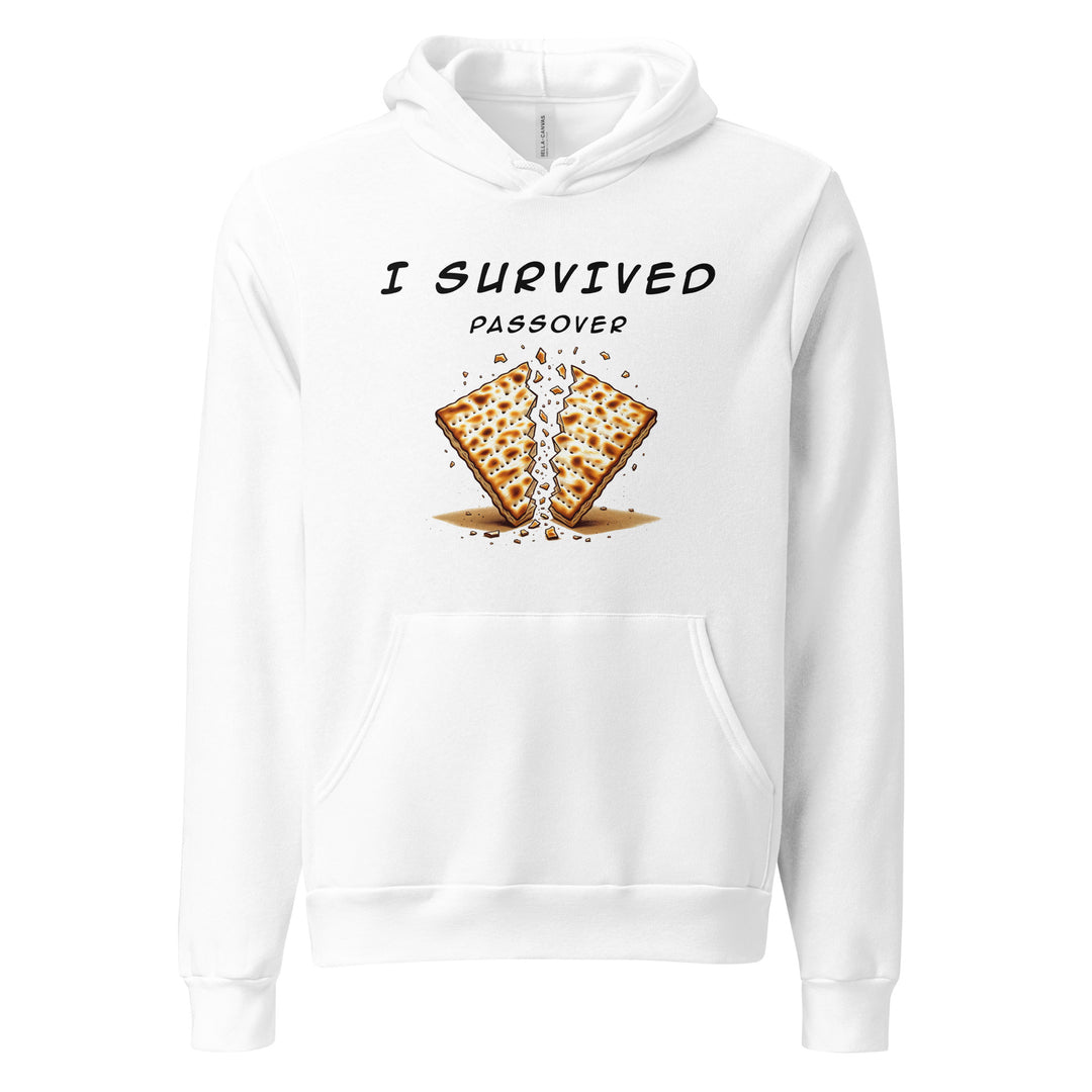 Passover Jewish pride hoodie - front view