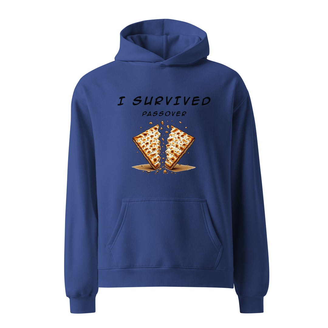 Passover Jewish pride hoodie in Cobalt - back view