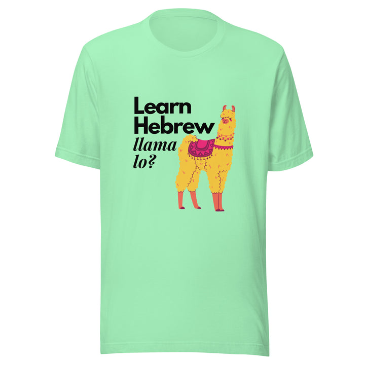 Learn Hebrew Llama Lo? Israel t-shirt in Mint - detail view