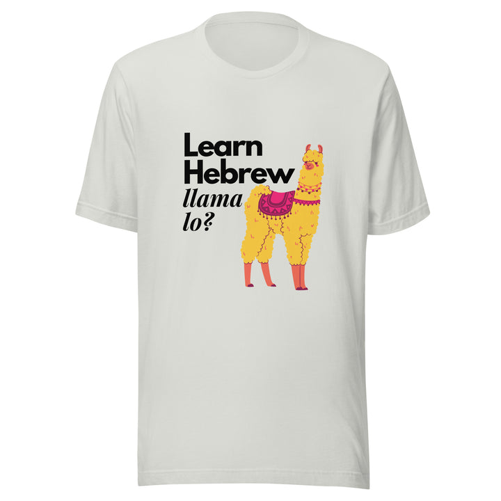 Learn Hebrew Llama Lo? Israel t-shirt in Silver - close-up