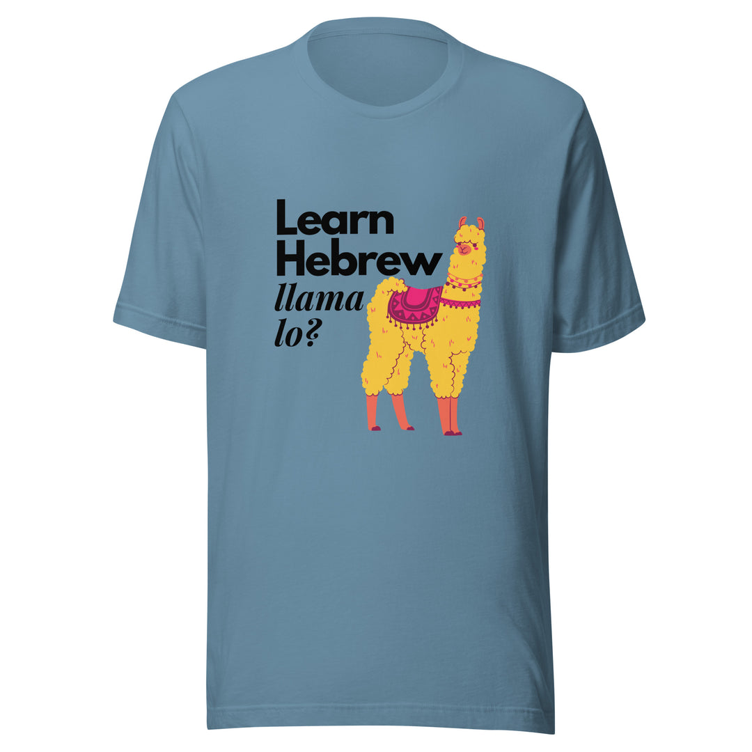 Learn Hebrew Llama Lo? Israel t-shirt in Steel Blue - back view